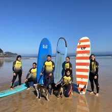 Escuela de Surf Essus en Zarautz