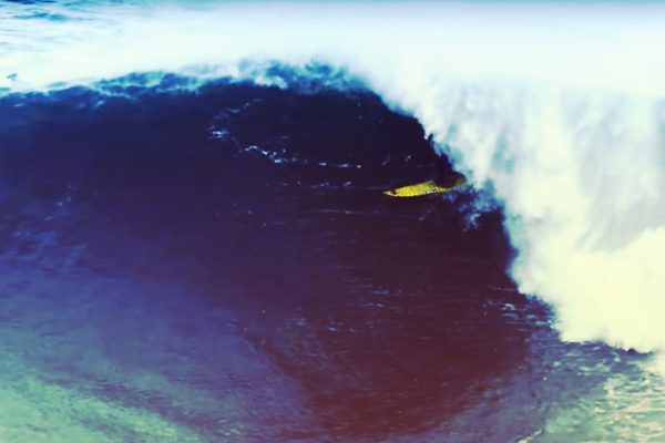 1º edición campeonato Sorginetxe Big Wave